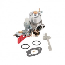 595318; BRIGGS & STRATTON; Carburateur; pièce detachée