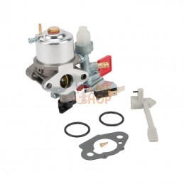 595318; BRIGGS & STRATTON; Carburateur; pièce detachée