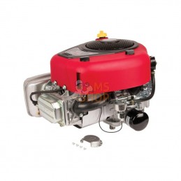 31R7770010B5; BRIGGS & STRATTON; Moteur vertical, 17,3 HP, monocylindre, série 4175, Briggs & Stratton; pièce detachée