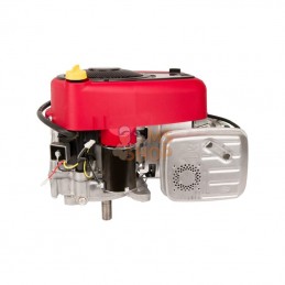 31R7770010B5; BRIGGS & STRATTON; Moteur vertical, 17,3 HP, monocylindre, série 4175, Briggs & Stratton; pièce detachée