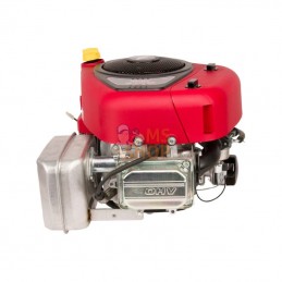 31R7770010B5; BRIGGS & STRATTON; Moteur vertical, 17,3 HP, monocylindre, série 4175, Briggs & Stratton; pièce detachée