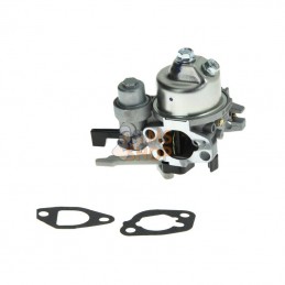 595652; BRIGGS & STRATTON; Carburateur; pièce detachée