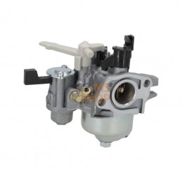 595649; BRIGGS & STRATTON; Carburateur; pièce detachée