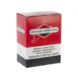 595776; BRIGGS & STRATTON; Carburateur; pièce detachée