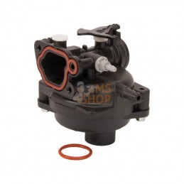 595656; BRIGGS & STRATTON; Carburateur; pièce detachée