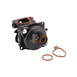 595656; BRIGGS & STRATTON; Carburateur; pièce detachée