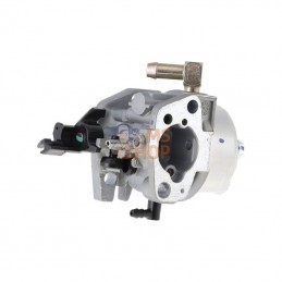 595778; BRIGGS & STRATTON; Carburateur; pièce detachée