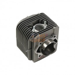 592048; BRIGGS & STRATTON; Cylindre; pièce detachée