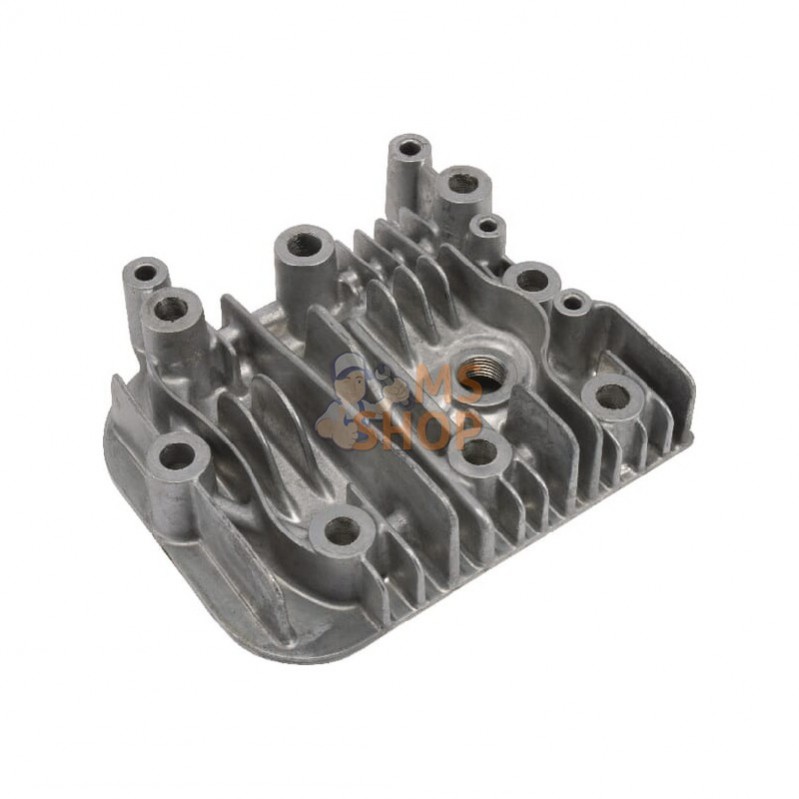590411; BRIGGS & STRATTON; Culasse; pièce detachée