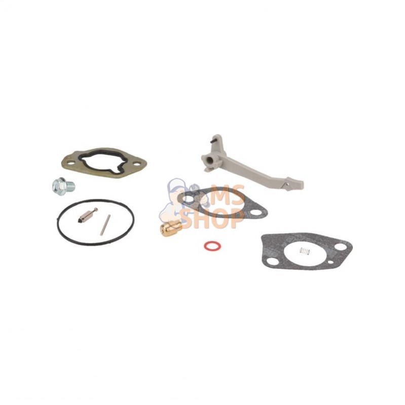 590453; BRIGGS & STRATTON; Kit révision carburateur; pièce detachée