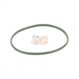 592485; BRIGGS & STRATTON; Joint de cuve à flotteur; pièce detachée