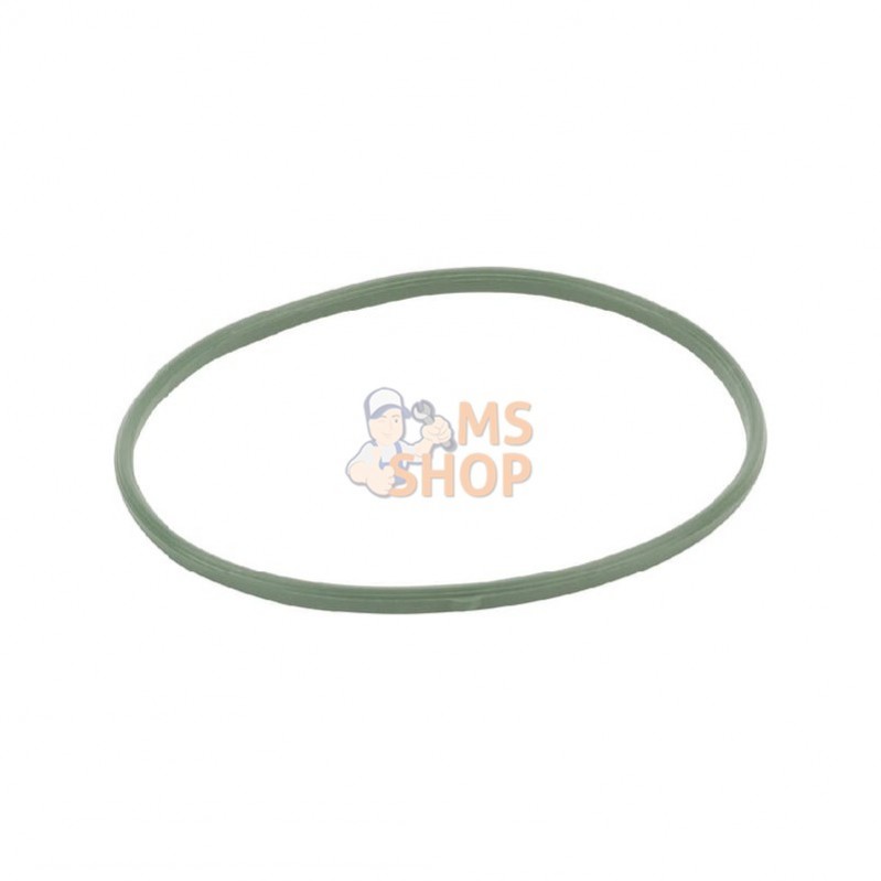 592485; BRIGGS & STRATTON; Joint de cuve à flotteur; pièce detachée