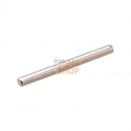 592486; BRIGGS & STRATTON; Pin-float hinge; pièce detachée