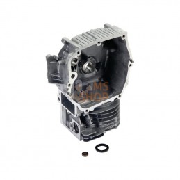 592645; BRIGGS & STRATTON; Cylindre; pièce detachée