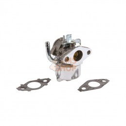 593357; BRIGGS & STRATTON; Carburateur; pièce detachée
