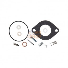 594886; BRIGGS & STRATTON; Kit de révision du carburateur; pièce detachée