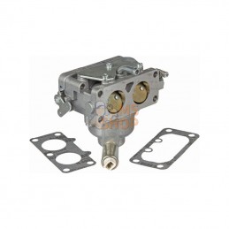 593234; BRIGGS & STRATTON; Carburateur; pièce detachée