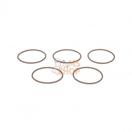 593235; BRIGGS & STRATTON; Joint (5); pièce detachée