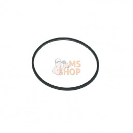 693981; BRIGGS & STRATTON; Joint de cuve à flotteur; pièce detachée