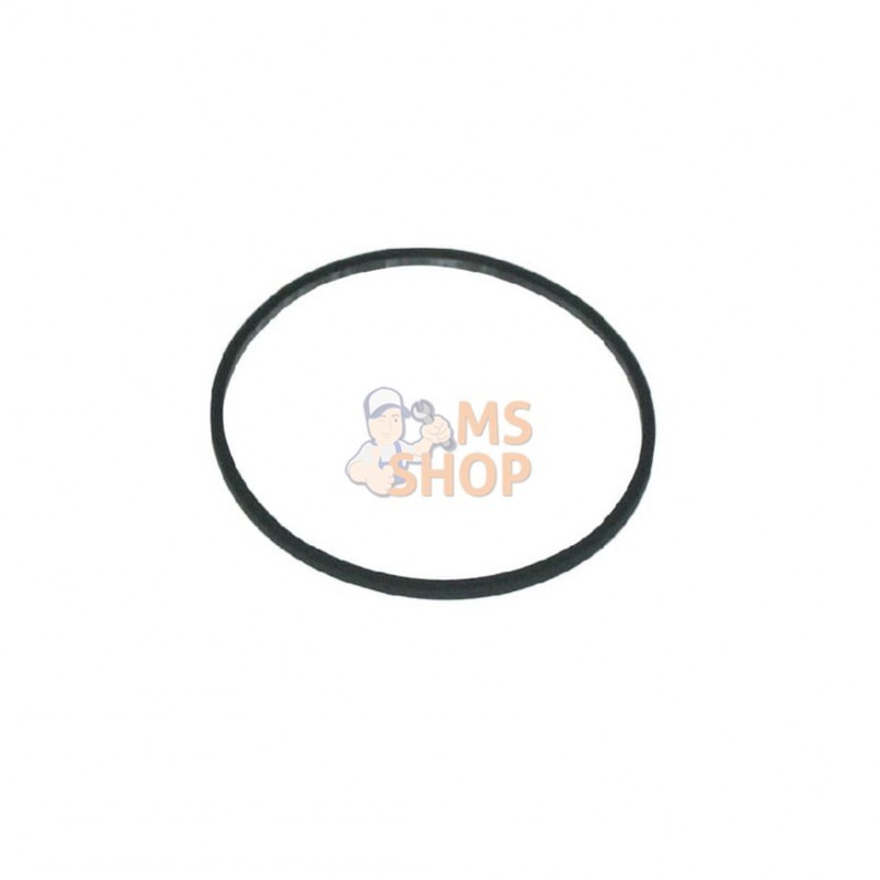 693981; BRIGGS & STRATTON; Joint de cuve à flotteur; pièce detachée