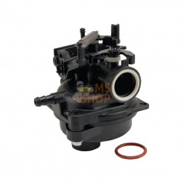 594057; BRIGGS & STRATTON; Carburateur; pièce detachée