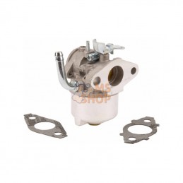 594015WM; BRIGGS & STRATTON; Carburateur; pièce detachée