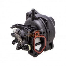 594058; BRIGGS & STRATTON; Carburateur; pièce detachée