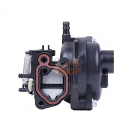 594058; BRIGGS & STRATTON; Carburateur; pièce detachée