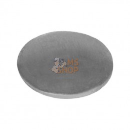 699810; BRIGGS & STRATTON; Plaquette de fermeture; pièce detachée