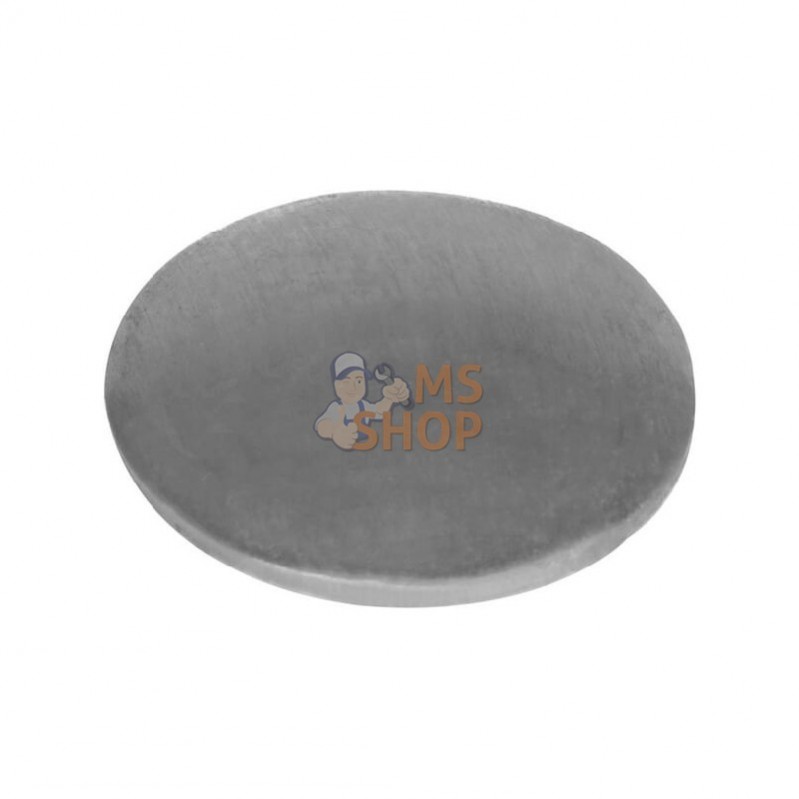 699810; BRIGGS & STRATTON; Plaquette de fermeture; pièce detachée