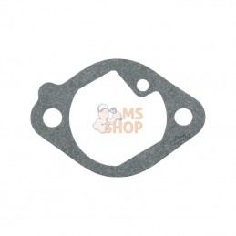 699800; BRIGGS & STRATTON; Joint, admission; pièce detachée