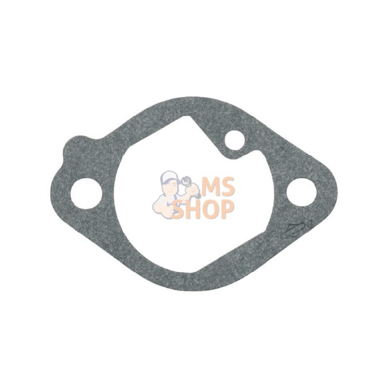 699800; BRIGGS & STRATTON; Joint, admission; pièce detachée