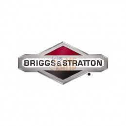 699586; BRIGGS & STRATTON; Shortblock; pièce detachée
