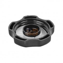 792647; BRIGGS & STRATTON; Bouchon de réservoir; pièce detachée