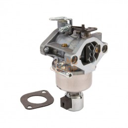 594605; BRIGGS & STRATTON; Carburateur; pièce detachée