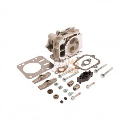 594514; BRIGGS & STRATTON; Culasse; pièce detachée