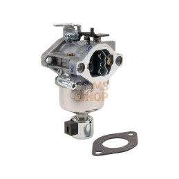 594601WM; BRIGGS & STRATTON; Carburateur; pièce detachée