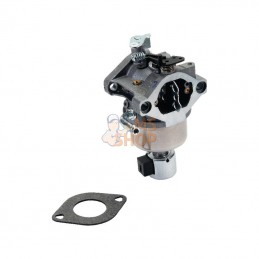 594593; BRIGGS & STRATTON; Carburateur; pièce detachée