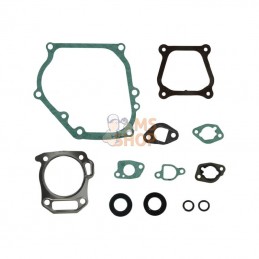 594272; BRIGGS & STRATTON; Kit d'étanchéité, moteur; pièce detachée