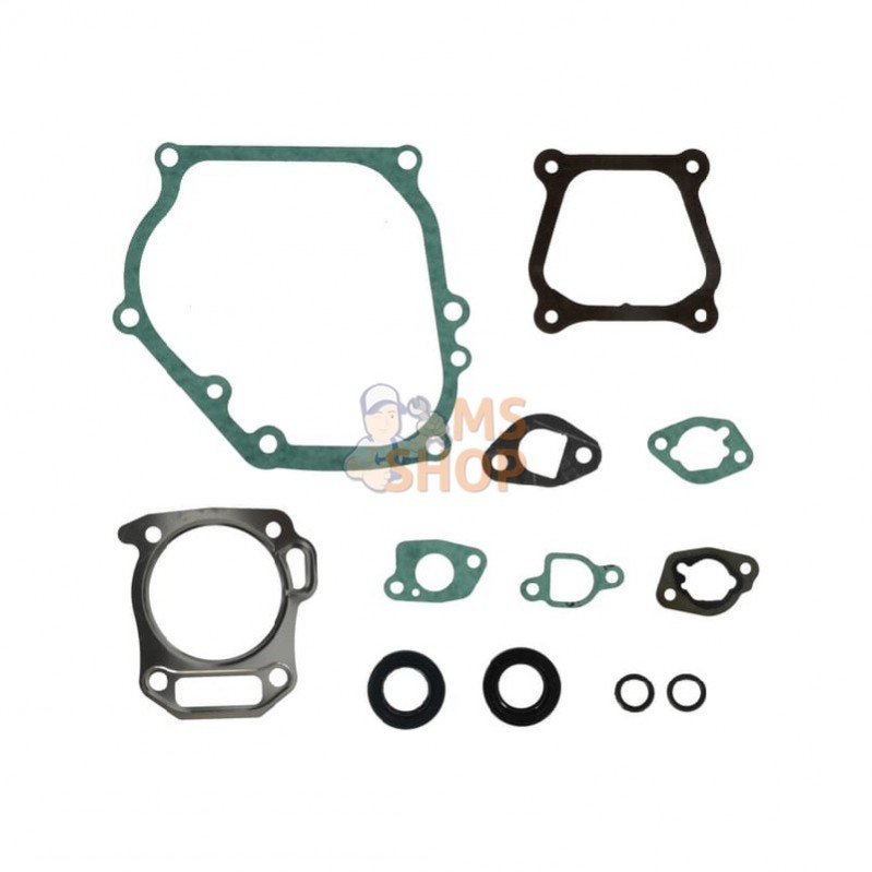 594272; BRIGGS & STRATTON; Kit d'étanchéité, moteur; pièce detachée