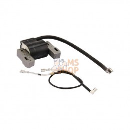 845606; BRIGGS & STRATTON; Bobine d'allumage B&S; pièce detachée