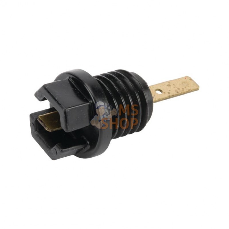 699947; BRIGGS & STRATTON; Bouchon d'huile; pièce detachée