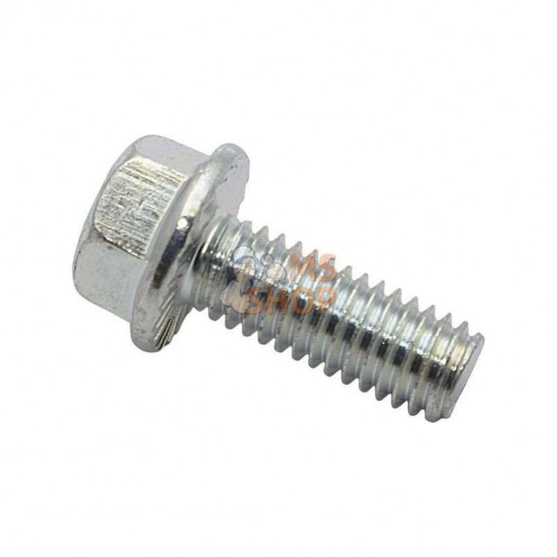 704038; BRIGGS & STRATTON; Vis, 3/8-16x1; pièce detachée