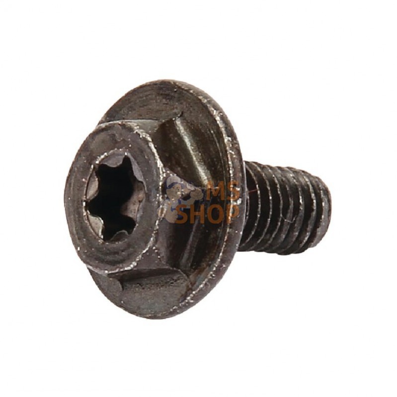 699854; BRIGGS & STRATTON; Vis; pièce detachée
