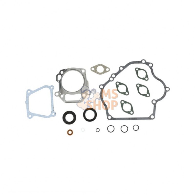 715032; BRIGGS & STRATTON; Kit d'étanchéité, moteur; pièce detachée