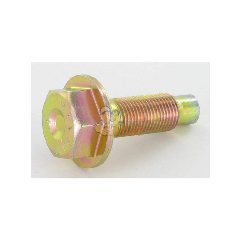 698139; BRIGGS & STRATTON; Boulon+ f. Schwungmasse; pièce detachée