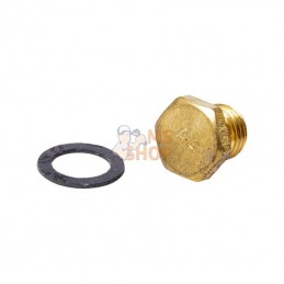 694250; BRIGGS & STRATTON; Buse principale; pièce detachée