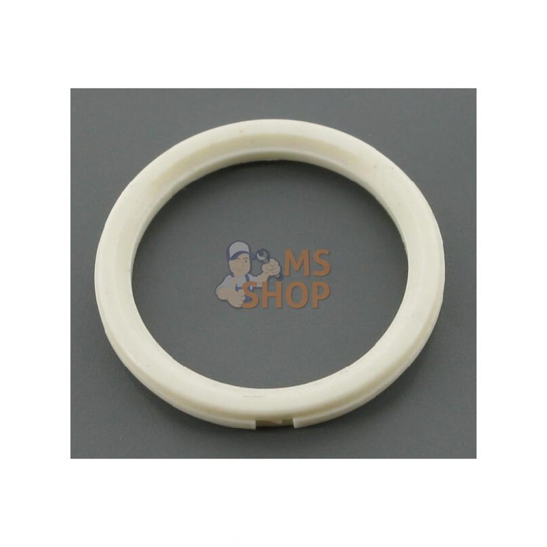 697478; BRIGGS & STRATTON; Joint à lèvre; pièce detachée