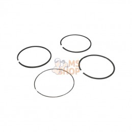 694004; BRIGGS & STRATTON; Jeu de bagues standard; pièce detachée