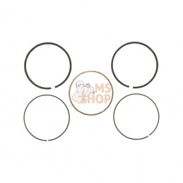 715346; BRIGGS & STRATTON; Kit de segments std; pièce detachée